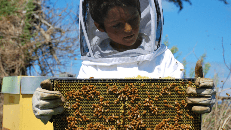 apiturismo en españa