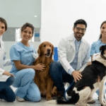 ecografía veterinaria es una técnica fundamental en el diagnóstico de mascotas.
