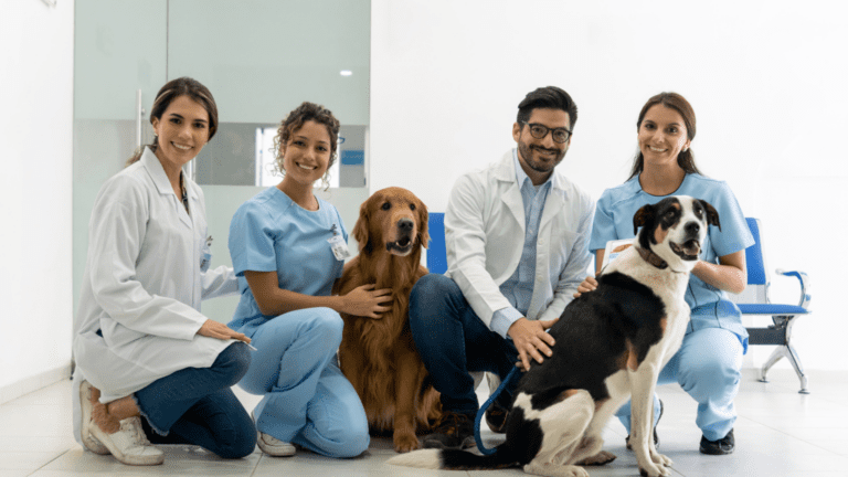 ecografía veterinaria es una técnica fundamental en el diagnóstico de mascotas.