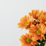 El lenguaje de las flores en los arreglos florales