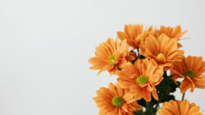 El lenguaje de las flores en los arreglos florales