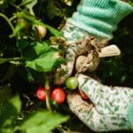 maquinaria profesional ligera y organización del trabajo