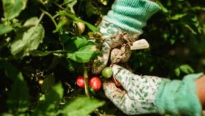 maquinaria profesional ligera y organización del trabajo