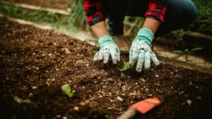 maquinaria profesional ligera para toma de decisiones técnicas