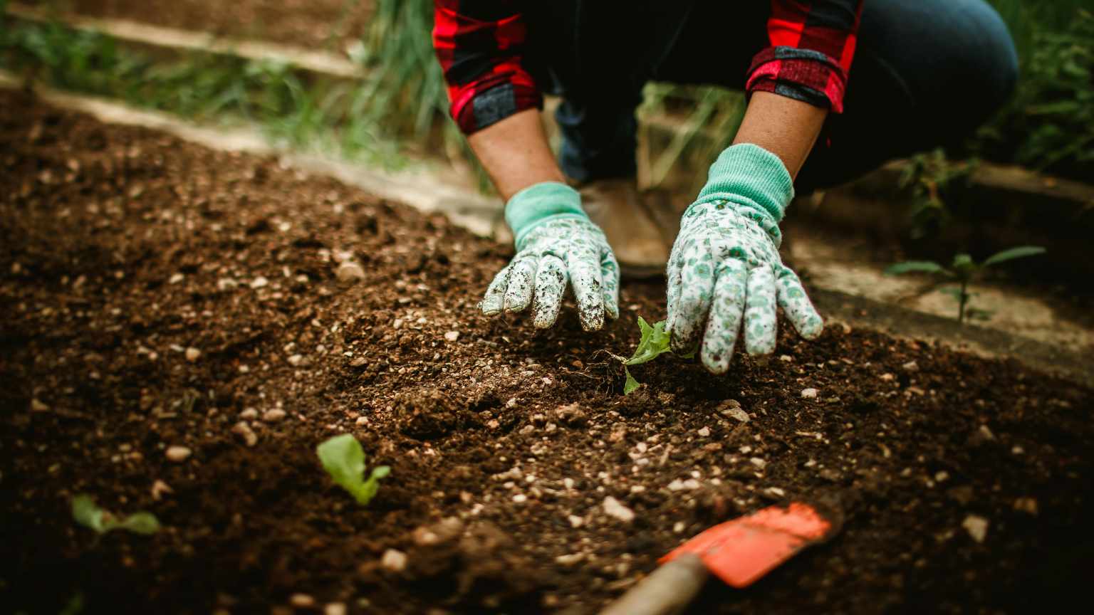 maquinaria profesional ligera para toma de decisiones técnicas