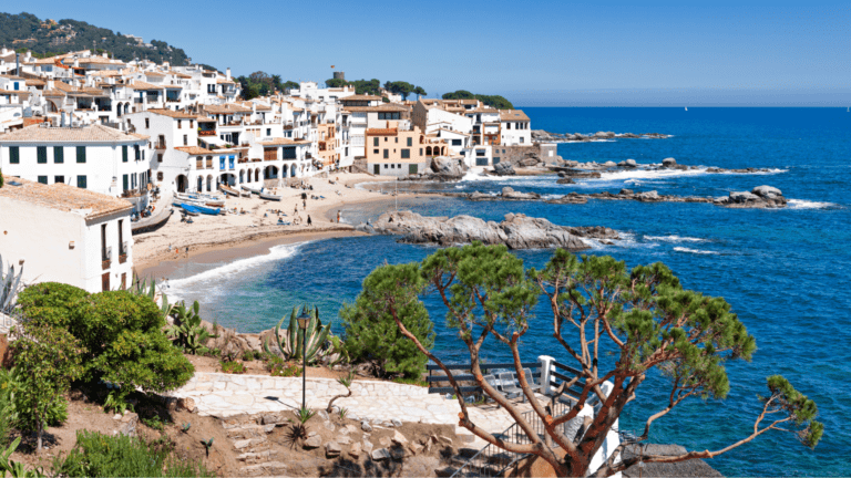 Fiestas populares en La Rioja compartidas entre vecinos y visitantes.