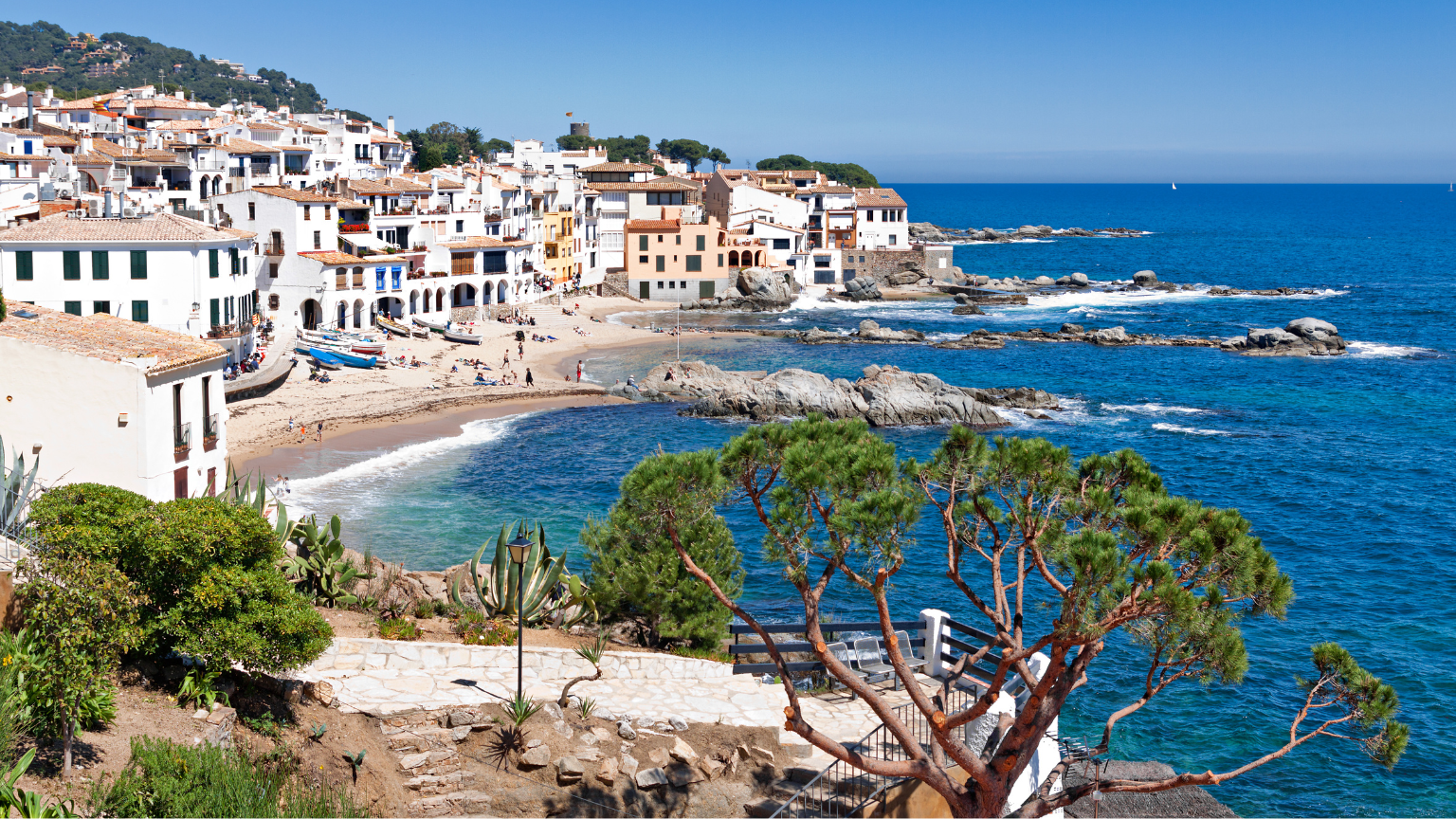 Fiestas populares en La Rioja compartidas entre vecinos y visitantes.