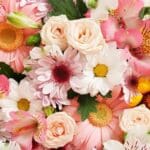 Ramo de flores variadas ideal para regalar en distintas ocasiones especiales