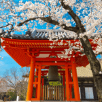 Evento relacionado con la cultura japonesa en España lleno de asistentes.