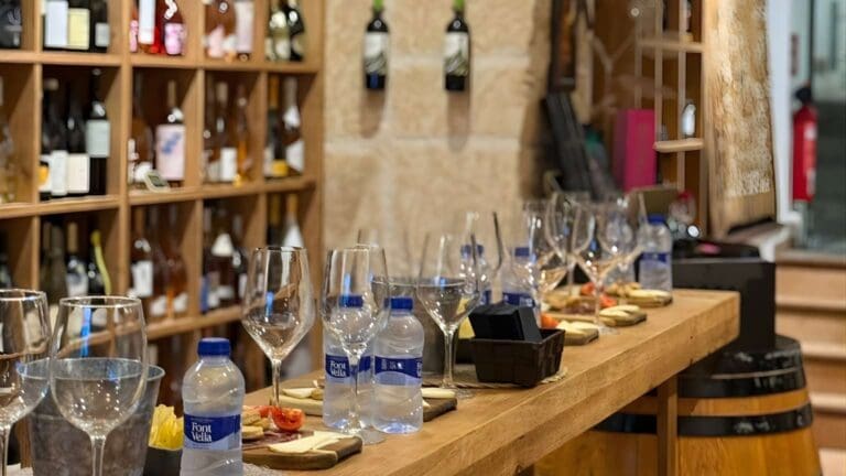 tienda de vinos online con selección digital de vinos blancos y premium