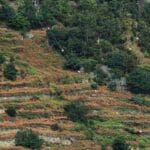 tirolina en Cuenca sobre paisaje urbano histórico
