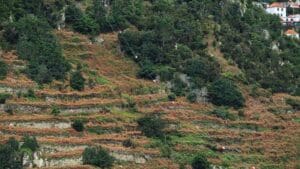 tirolina en Cuenca sobre paisaje urbano histórico