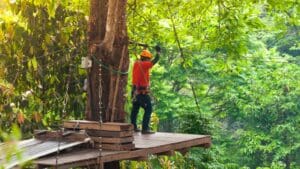 tirolina en Cuenca sobre paisaje natural y urbano