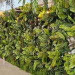 Plantas artificiales decorativas en salón moderno de decoración interior contemporánea