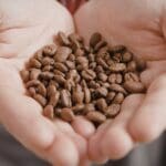 Café de especialidad en grano recién tostado con aroma natural