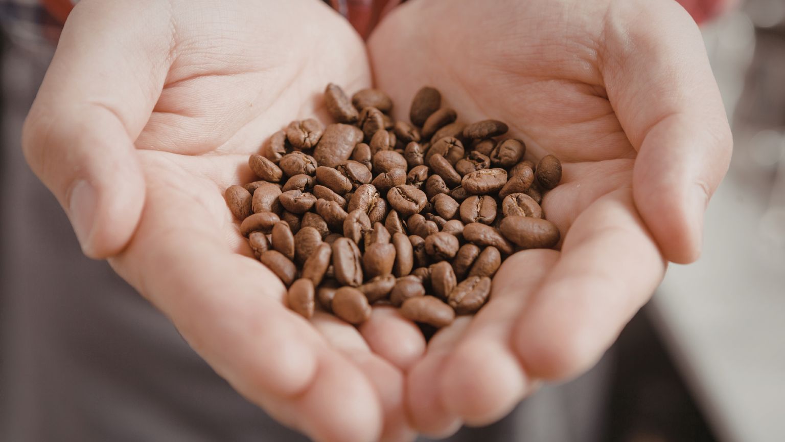 Café de especialidad en grano recién tostado con aroma natural