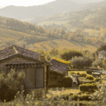 ¿Por qué elegir apartamentos turísticos sostenibles para tu próxima escapada?