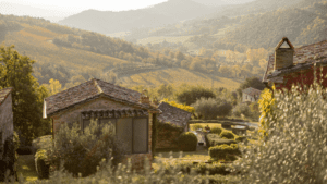 ¿Por qué elegir apartamentos turísticos sostenibles para tu próxima escapada?