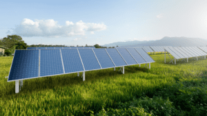 Paneles que producen energía solar en España en un entorno natural.