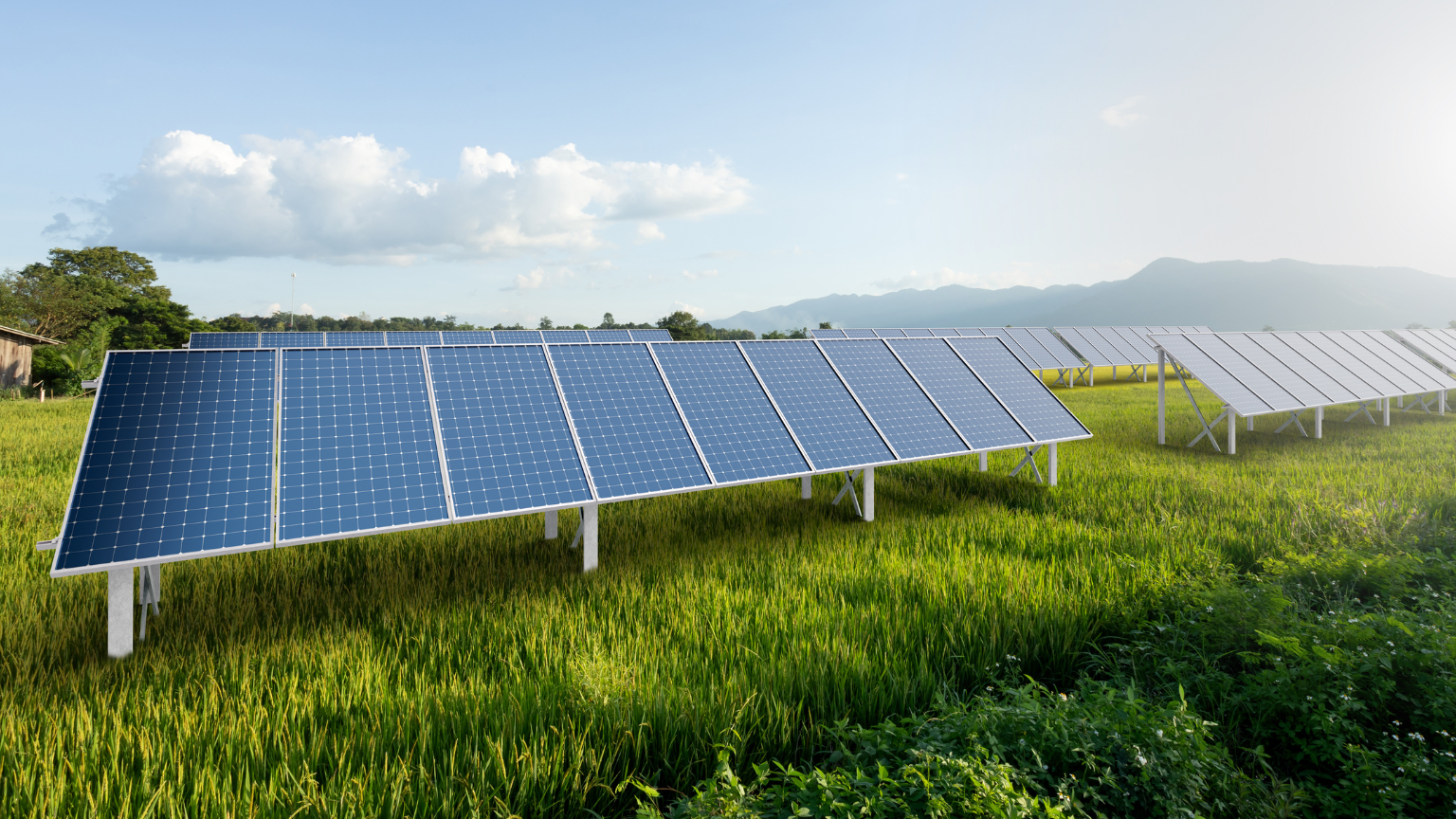 Paneles que producen energía solar en España en un entorno natural.
