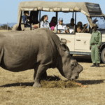 Qué hacen los expertos en viajes por África