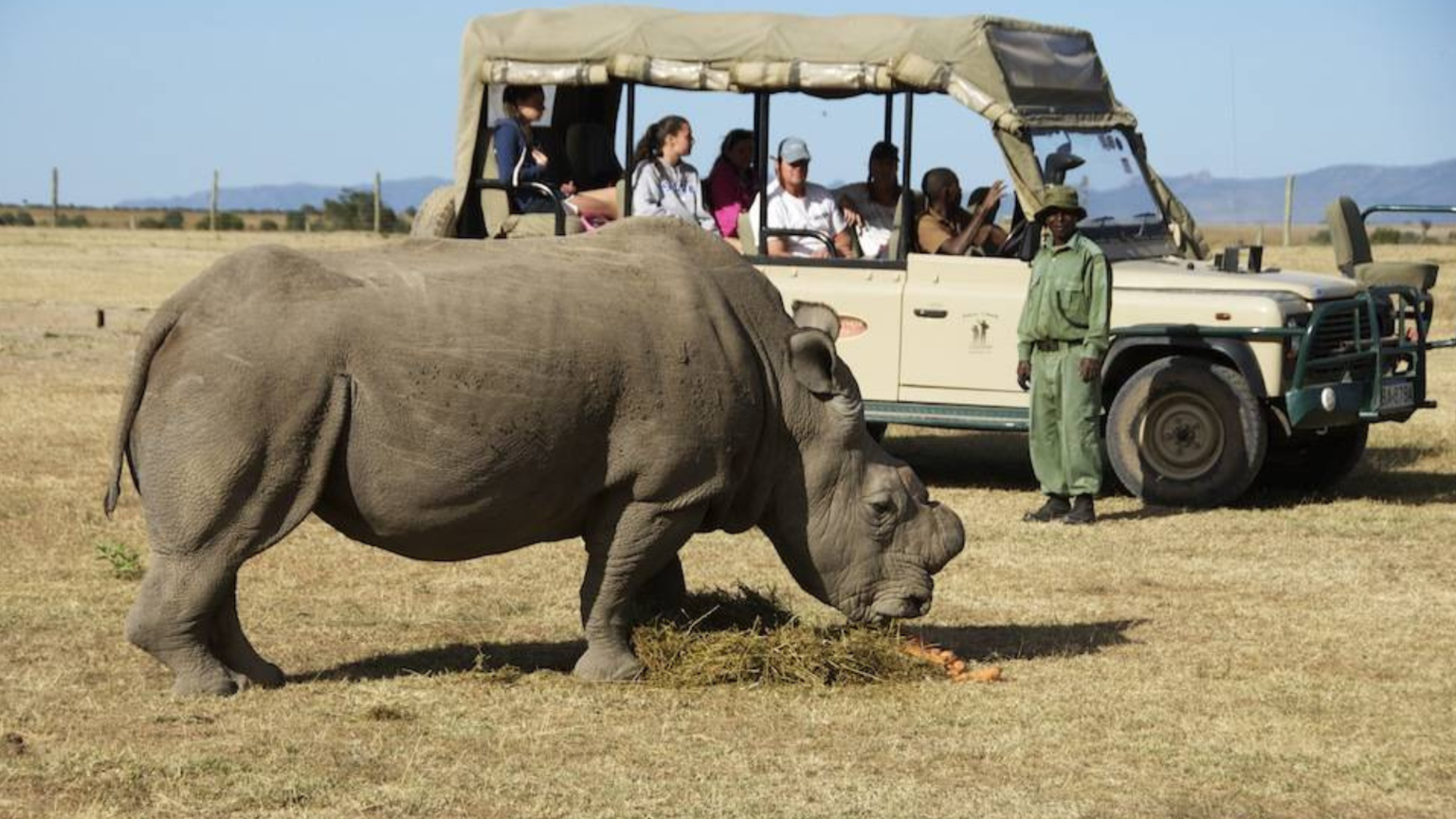 Qué hacen los expertos en viajes por África