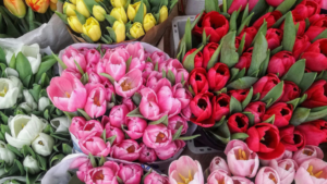 Cómo elegir el ramo de flores perfecto para cada ocasión