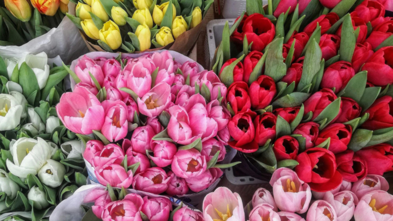 Cómo elegir el ramo de flores perfecto para cada ocasión