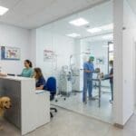 Clínica veterinaria en Alcalá de Guadaíra: servicios y atención