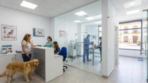 Clínica veterinaria en Alcalá de Guadaíra: servicios y atención