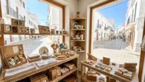 ¿Qué son los productos químicos para la limpieza y su importancia en Almería?