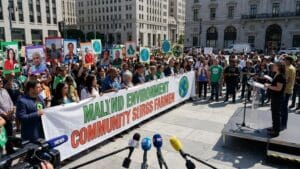 ¿Qué son los movimientos sociales y cuál es su impacto real?