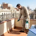 Control de plagas en Barcelona: preparación y acción