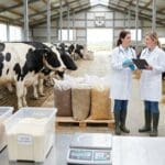 ¿Qué es la nutrición animal para explotaciones ganaderas?