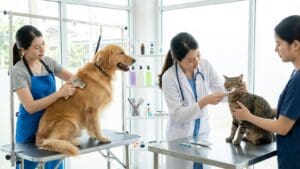 ¿Qué implica el cuidado e higiene para perros y gatos?
