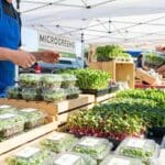 ¿Qué son los microgreens y por qué se consideran un superalimento?