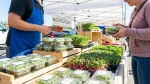 ¿Qué son los microgreens y por qué se consideran un superalimento?