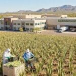 ¿Qué es la empresa la empresas y cómo opera en el mercado?