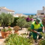 Contratar un jardinero en Oliva para su jardín