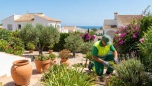 Contratar un jardinero en Oliva para su jardín