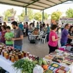 ¿Qué son los la empresa y cómo se organizan?