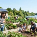 ¿Qué es el bienestar y la sostenibilidad: una guía esencial?