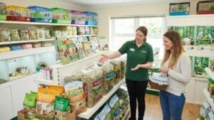 ¿Qué buscar en una tienda para pequeños animales?