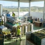 Adquirir aceite de oliva virgen extra en Jaén