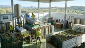 Adquirir aceite de oliva virgen extra en Jaén