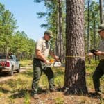 Servicios forestales en Madrid: encuentre a su agente