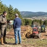 Agente comercial forestal en Collado Villalba: su elección