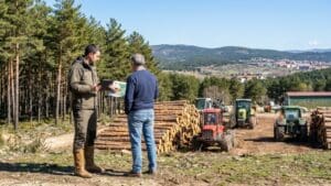 Agente comercial forestal en Collado Villalba: su elección